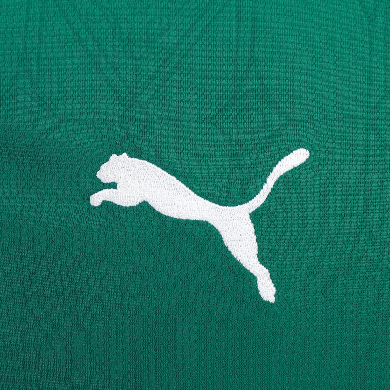 Camisa SE Palmeiras 2025/26 Home